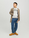 Jack & Jones Světle šedá pánská žíhaná mikina s kapucí Jack & Jones Josh