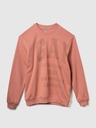 GAP Mikina s logem Gap