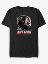 ZOOT.Fan Ant-Man and The Wasp ZOOT. FAN Marvel -  pánské tričko