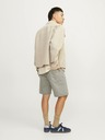 Jack & Jones Béžové pánské kraťasy Jack & Jones Tony
