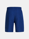 Under Armour Pánské kraťasy Under Armour UA Tech Vent Short